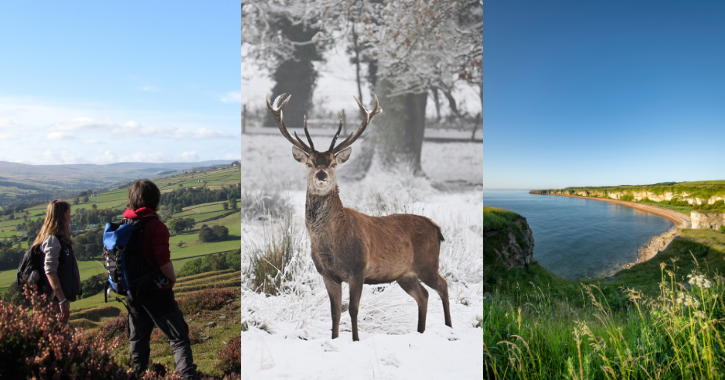 collage of images people walking in north pennines, deer in snow and blast beach.